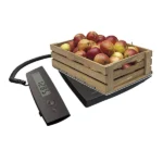 Balance maxi 100 kg PC100 Terraillon – Image 2